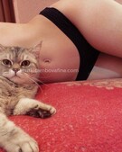 Анкета проститутки Рената - метро Покровское-Стрешнево, возраст - 24